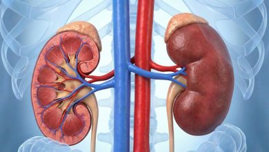 ghiandola surrenalica