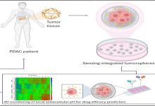 studio processo tumore del pancreas