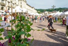 Agriflor piazza Vittorio Veneto Torino
