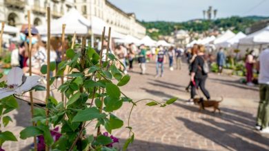 Agriflor piazza Vittorio Veneto Torino