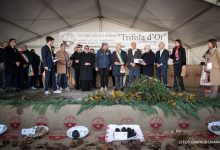 Tartufo Trifola d’Or 2025