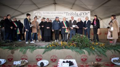 Tartufo Trifola d’Or 2025