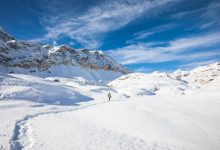 Cinema in Verticale 2026