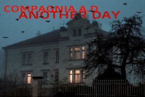 La gente strana...che strana gente