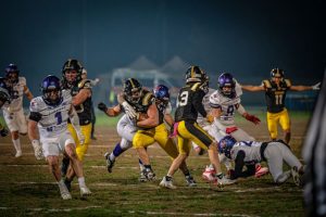 preview Warriors Bologna Giaguari Torino