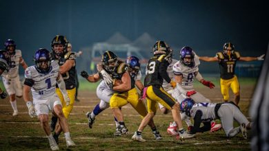 preview Warriors Bologna Giaguari Torino