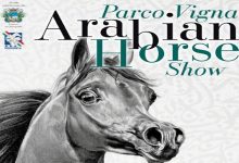 Arabian Horse Show 2026