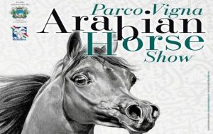Arabian Horse Show 2026