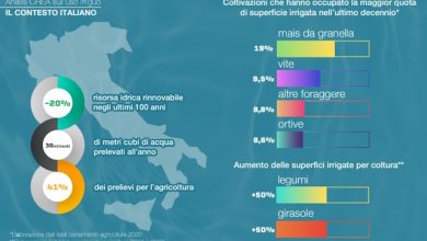 Giornata Mondiale dell’Acqua 2026