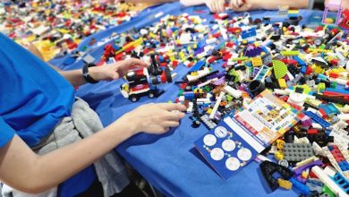 Bricks & Friends 2026