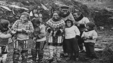 Festival CinemAmbiente The Great Greenland Film