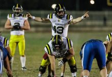 Giaguari Torino Dolphins Ancona