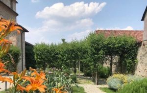 Giardino dei semplici di cherasco