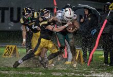 Longhini Giaguari Dolphins