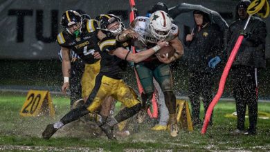 Longhini Giaguari Dolphins