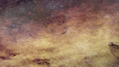 Via Lattea Euclid