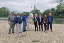 presentazione Parco Vigna Arabian Horse Show