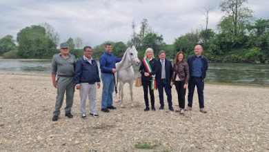 presentazione Parco Vigna Arabian Horse Show