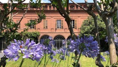 Bellezza tra le righe