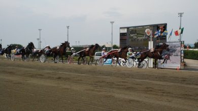 Ippodromo di Vinovo Addio notturne