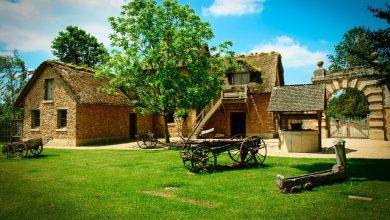 Nuovi agriturismi bando finanziamento