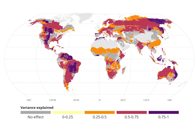 Come le variazioni climatiche influenzano gli incendi