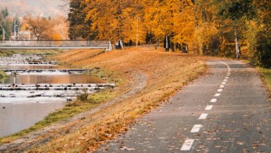 Cycling Waterways