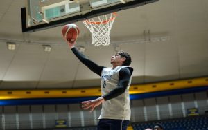 Info Biglietti Reale Mutua - Verona