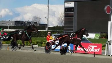 Ippodromo di Vinovo Giornata dedicata ai Gentlemen