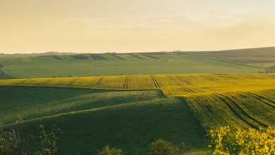 Terreni agricoli