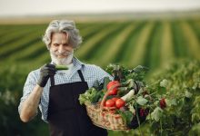 Agroalimentare II trimestre 2025