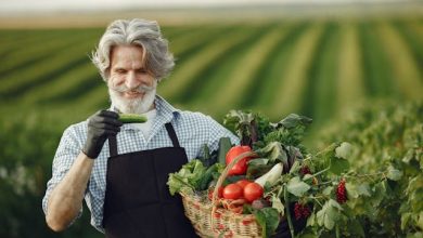 Agroalimentare II trimestre 2025