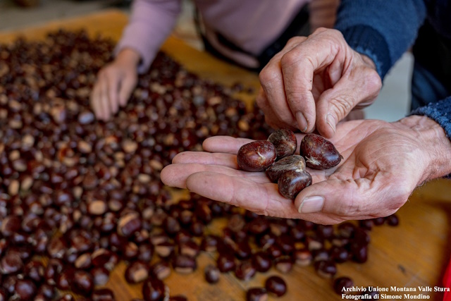 Mercato delle Castagne