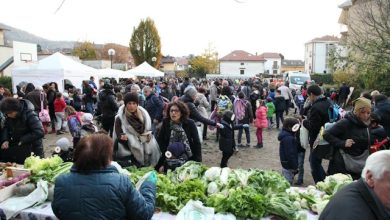 Orti Slow Food nelle scuole