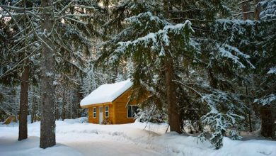 Sistema neve Piemonte