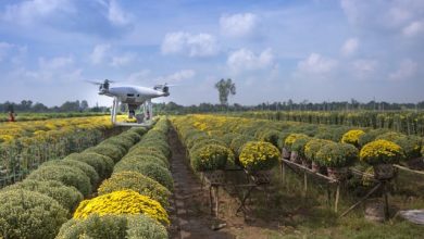 contributi Pnrr per aziende agricole tecnologiche