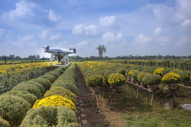 contributi Pnrr per aziende agricole tecnologiche