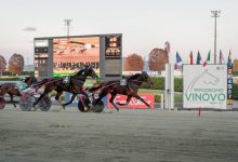 Finali ANACT Stakes Plus+ Ippodromo di Vinovo