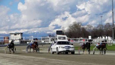 Ippodromo Vinovo Campionato Gentlemen Piemontese