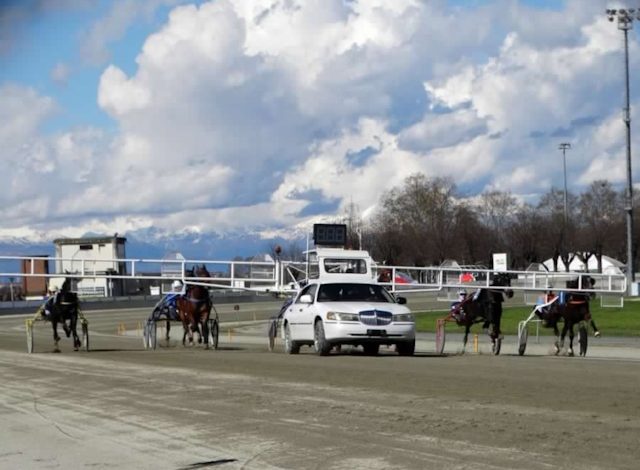 Ippodromo Vinovo Campionato Gentlemen Piemontese