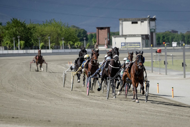 Ippodromo Vinovo Campionato Piemontese Gentleman