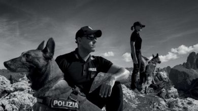 La Polizia di Stato Calendario 2025