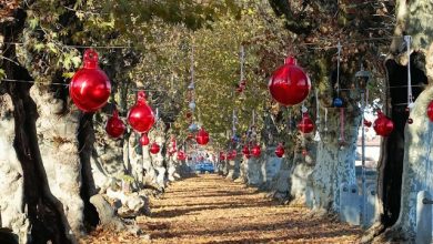 Natale a Cherasco 2024