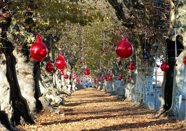 Natale a Cherasco 2024