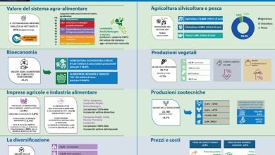 Annuario CREA 2023