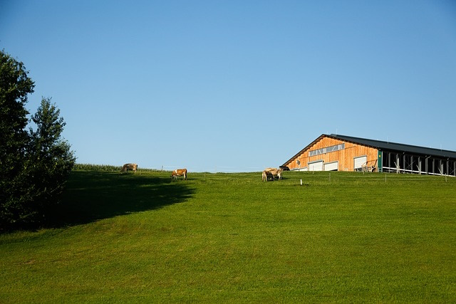 Emissioni agricole allevamenti