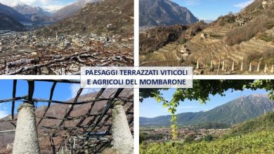 I Paesaggi Terrazzati Viticoli e Agricoli del Mombarone