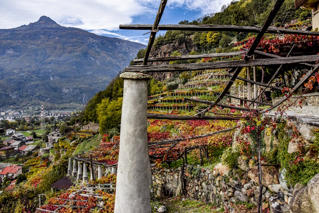 I vigneti del Mombarone