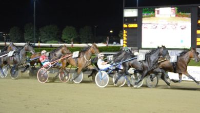 Maratonina d'Inverno 2025