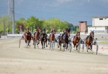 Maratonina d'Inverno Ippodromo di Vinovo